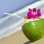 Tests des Monats: Bio-Kokoswasser