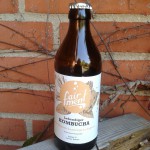 Produkt der Woche: Lebendiger Kombucha Honigbusch-Lemongras-Ingwer von Fairment